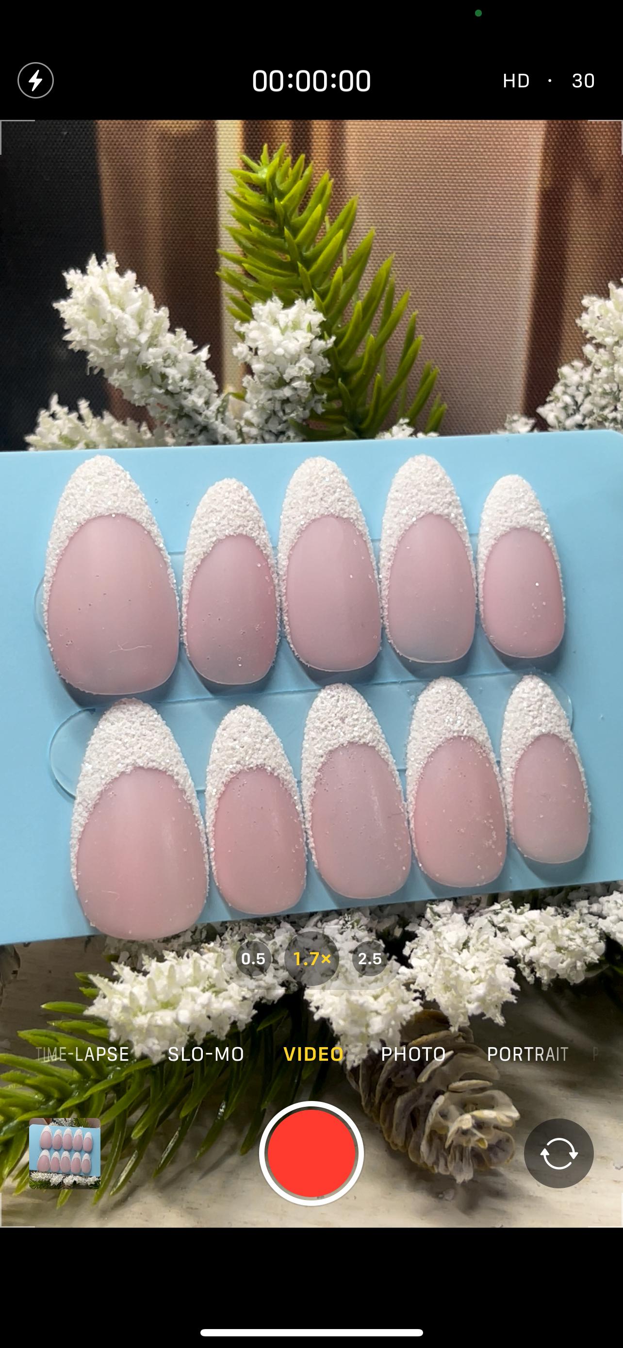 FIRST SNOW - Set of 10 textured twinkly French tip nails
